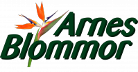 Arnes blommor
